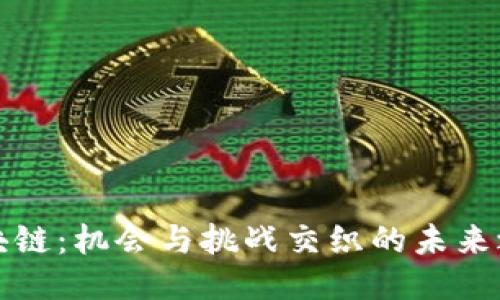 区块链：机会与挑战交织的未来之路