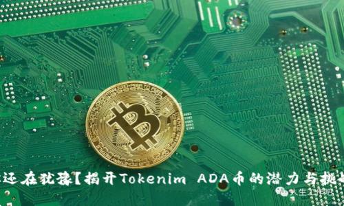 你还在犹豫？揭开Tokenim ADA币的潜力与挑战！
