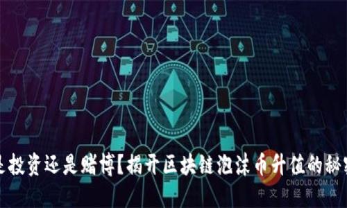 是投资还是赌博？揭开区块链泡沫币升值的秘密