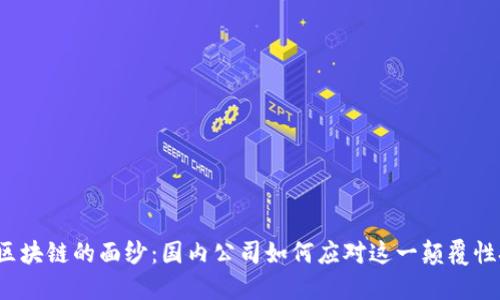 揭开比特币区块链的面纱：国内公司如何应对这一颠覆性技术的挑战？