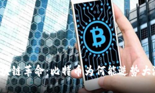 区块链革命：比特币为何能逆势大涨？
