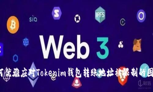 如何优雅应对Tokenim钱包转账地址被限制的困境？