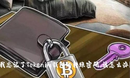 我忘记了Tokenim钱包的转账密码，该怎么办？
