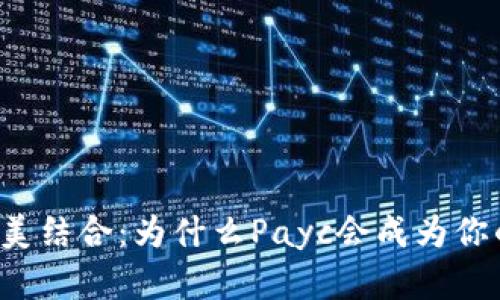 区块链与股票的完美结合：为什么Payc会成为你的下一个投资机会？