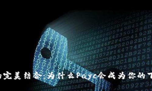 区块链与股票的完美结合：为什么Payc会成为你的下一个投资机会？