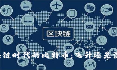 区块链时代的比特币：飞升还是泡沫？