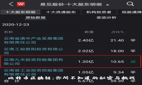 比特币区块链：你所不知道的秘密与挑战
