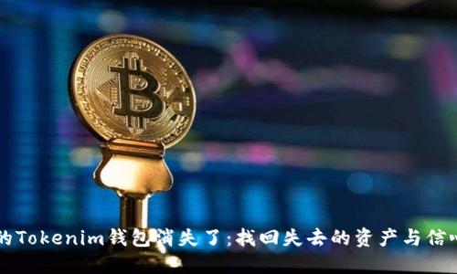 当你的Tokenim钱包消失了：找回失去的资产与信心之路