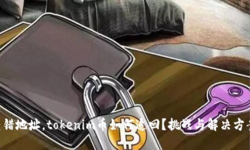转错地址，tokenim币如何追回？挑战与解决方案！