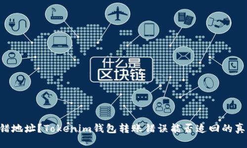 转错地址？Tokenim钱包转账错误能否追回的真相！