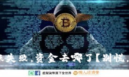 Tokenim钱包转账失败，资金去哪了？别慌，这里有解决方案！
