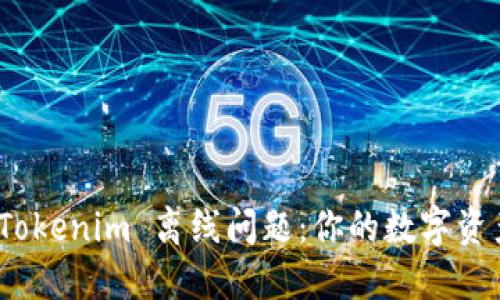 如何应对 Tokenim 离线问题：你的数字资产安全之道