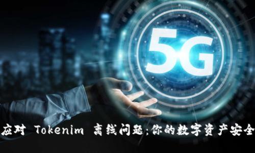 如何应对 Tokenim 离线问题：你的数字资产安全之道