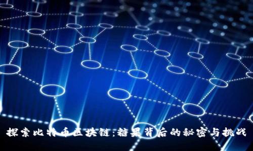 探索比特币区块链：糖果背后的秘密与挑战