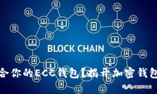 如何选择适合你的ECC钱包？揭开加密钱包的神秘面纱