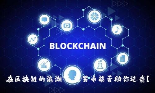 在区块链的浪潮下，渣男币能否助你逆袭？