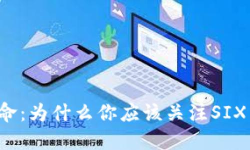 区块链革命：为什么你应该关注SIX币的未来？