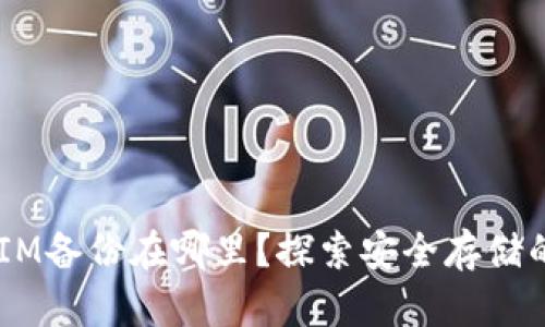 TokenIM备份在哪里？探索安全存储的秘密！