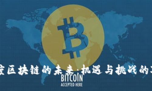 印度区块链的未来：机遇与挑战的对决