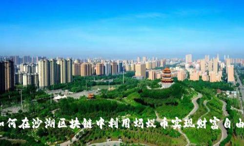如何在沙湖区块链中利用蚂蚁币实现财富自由？