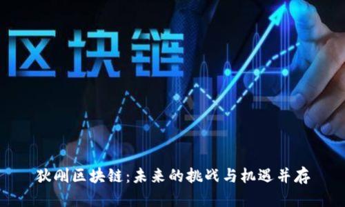 狄刚区块链：未来的挑战与机遇并存