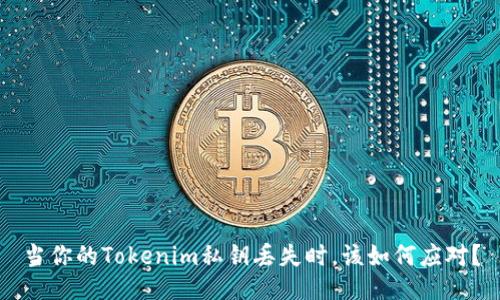 当你的Tokenim私钥丢失时，该如何应对？