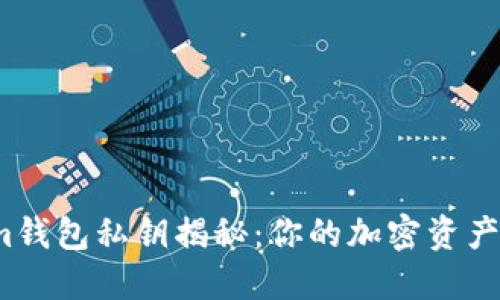 Tokenim钱包私钥揭秘：你的加密资产安全吗？