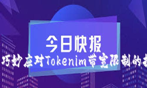 如何巧妙应对Tokenim带宽限制的挑战？
