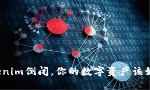 如果Tokenim倒闭，你的数字资产该如何拯救？