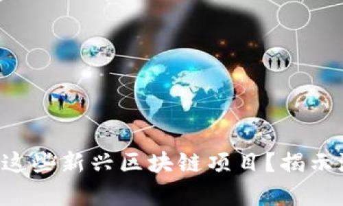 为什么你应该关注这些新兴区块链项目？揭示潜力与风险的真相！