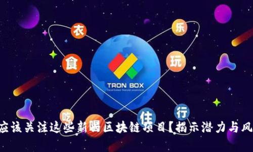 为什么你应该关注这些新兴区块链项目？揭示潜力与风险的真相！