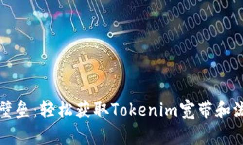 如何打破壁垒：轻松获取Tokenim宽带和流量的方法