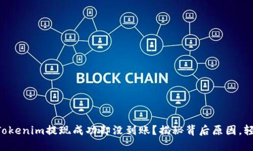 为什么你的Tokenim提现成功却没到账？揭秘背后原因，轻松解决烦恼！