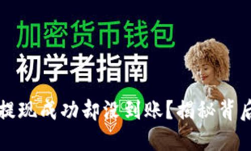 为什么你的Tokenim提现成功却没到账？揭秘背后原因，轻松解决烦恼！