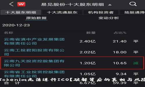 为何Tokenim无法进行ICO？破解背后的真相与风险分析