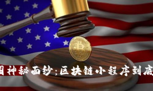 揭开币圈神秘面纱：区块链小程序到底是什么？