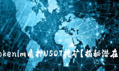 为什么选择Tokenim质押USDT挖矿？揭秘潜在的挑战与回报