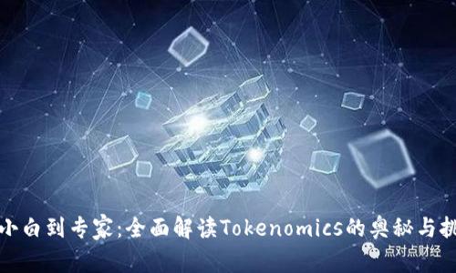 从小白到专家：全面解读Tokenomics的奥秘与挑战
