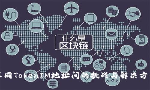 不同TokenIM地址间的挑战与解决方案