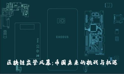 区块链监管风暴：币圈未来的挑战与机遇
