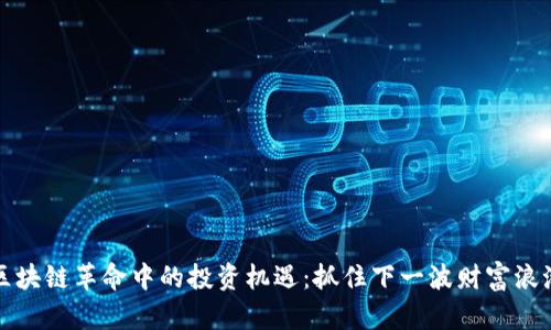 区块链革命中的投资机遇：抓住下一波财富浪潮