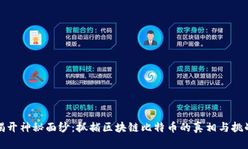 揭开神秘面纱：抓捕区块链比特币的真相与挑战