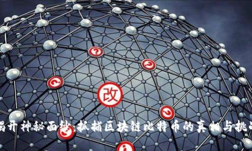 揭开神秘面纱：抓捕区块链比特币的真相与挑战