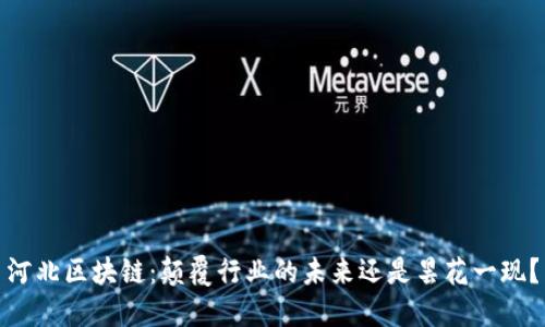 河北区块链：颠覆行业的未来还是昙花一现？