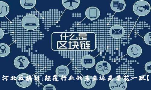 河北区块链：颠覆行业的未来还是昙花一现？