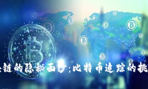揭开区块链的隐秘面纱：比特币追踪的挑战和盲点