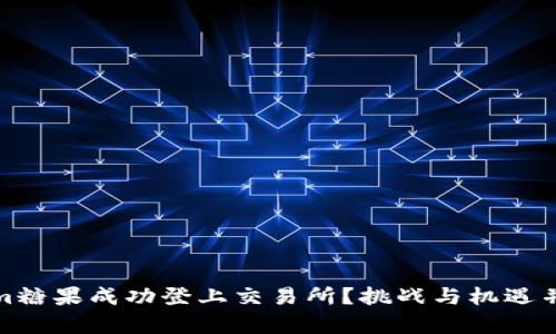 如何让Tokenim糖果成功登上交易所？挑战与机遇并存的策略揭秘