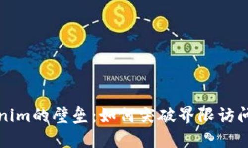 终结Tokenim的壁垒：如何突破界限访问全球资源