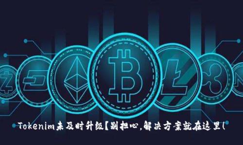 Tokenim未及时升级？别担心，解决方案就在这里！