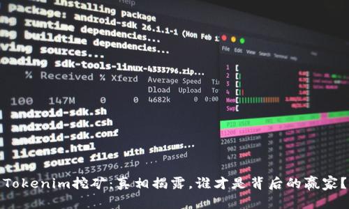 Tokenim挖矿：真相揭露，谁才是背后的赢家？